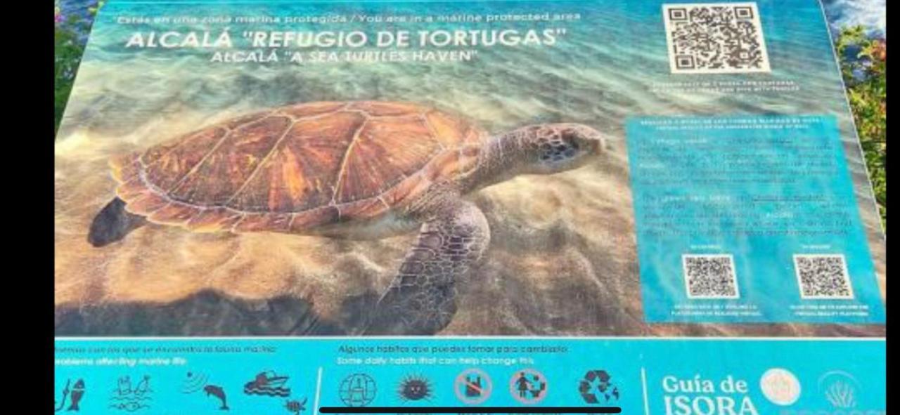 Alcala Center A 5 Minutos Del Paseo Y Playasアパートメント エクステリア 写真